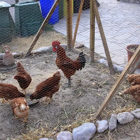 Maison d'hôtes Moli Del Caso Bagá