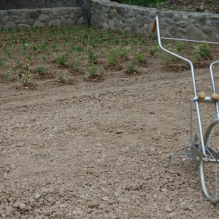 Moli Del Caso