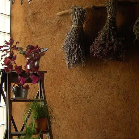 Guest house Moli Del Caso